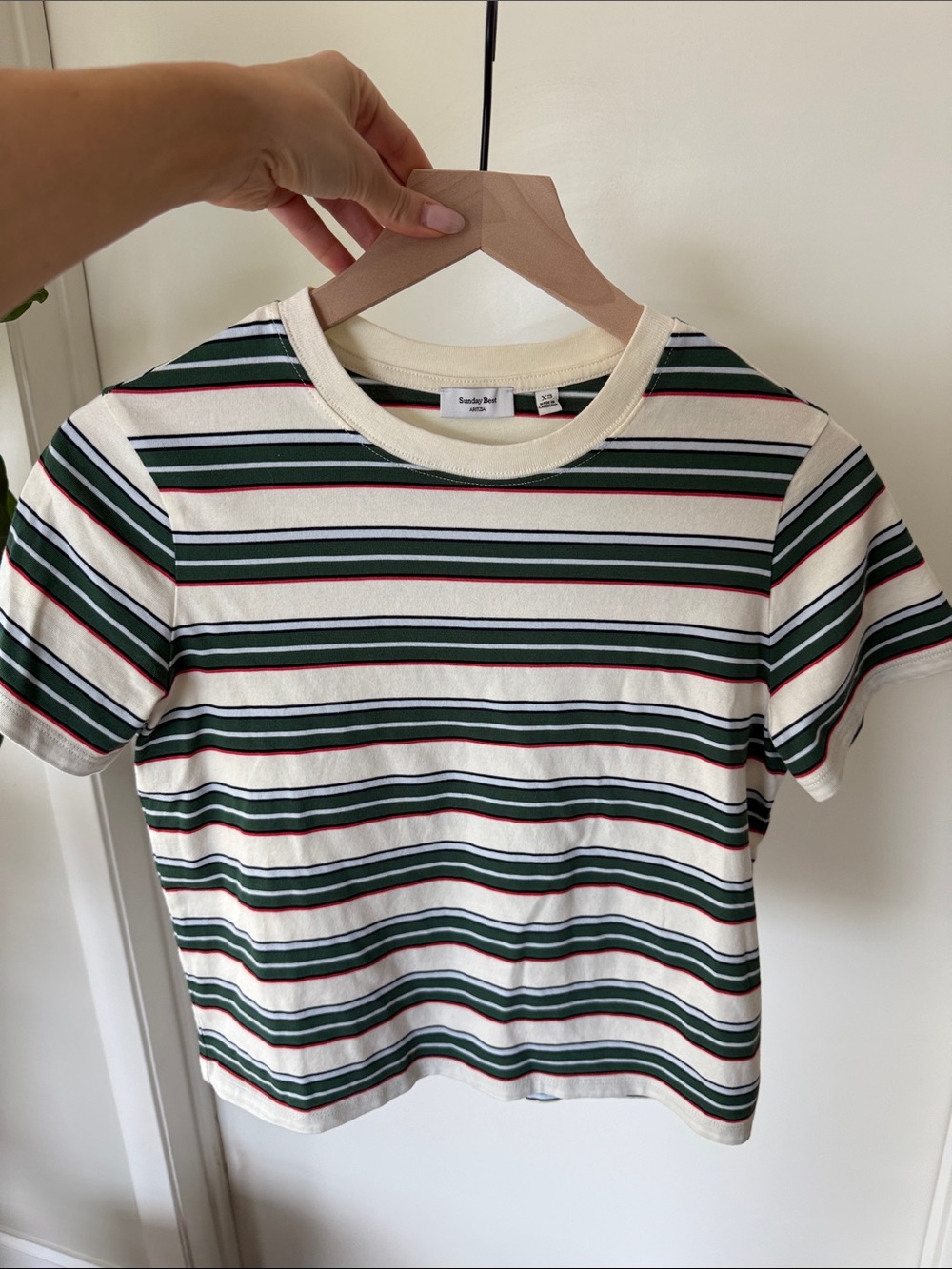 Aritizia Striped Crewneck Tee - Green & Cream size XS